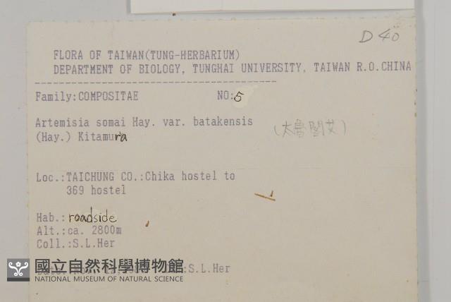 中南蒿藏品圖，第2張