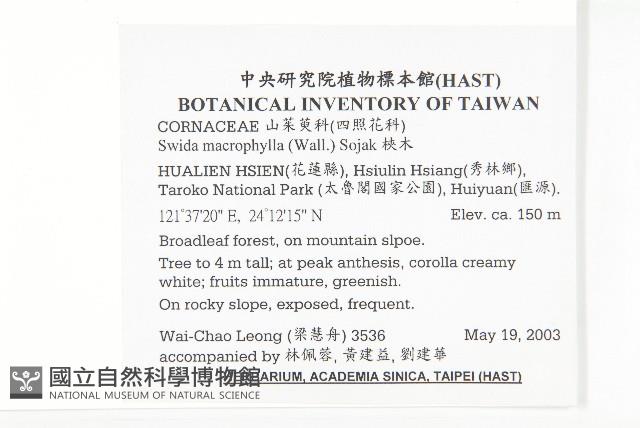 梜木藏品圖，第2張