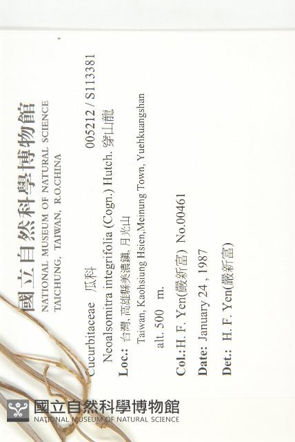 穿山龍藏品圖，第2張