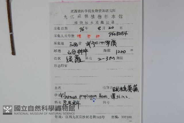 高山莢迷藏品圖，第2張