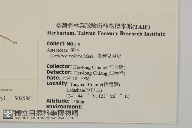 臺灣鬼督郵藏品圖，第2張