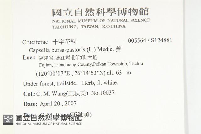 薺藏品圖，第2張