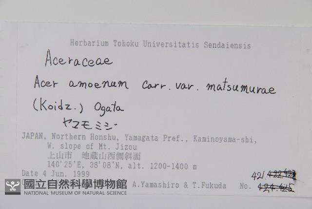 登錄號:S074881藏品圖，第2張