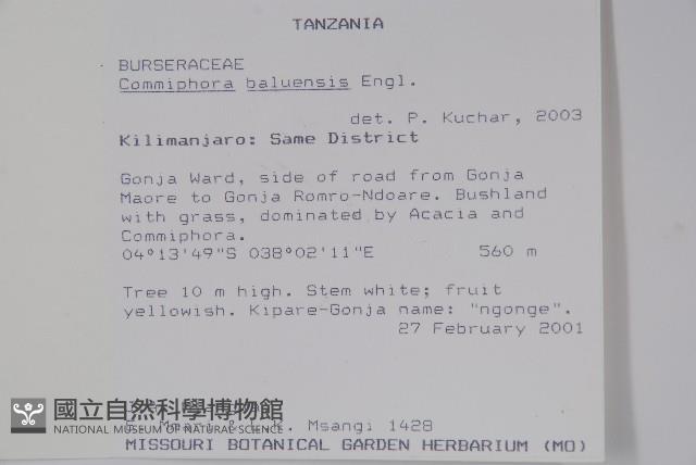 登錄號:S093881藏品圖，第2張