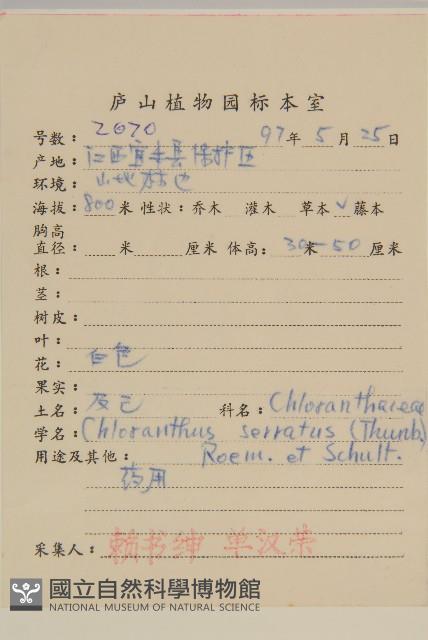 及己藏品圖，第2張