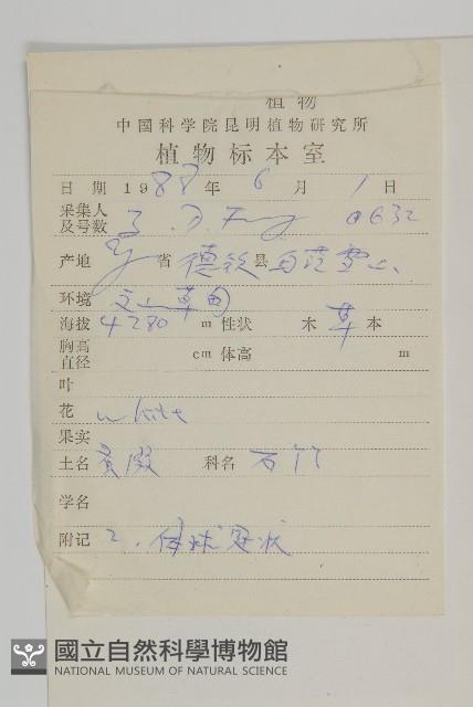 團狀福祿草藏品圖，第2張