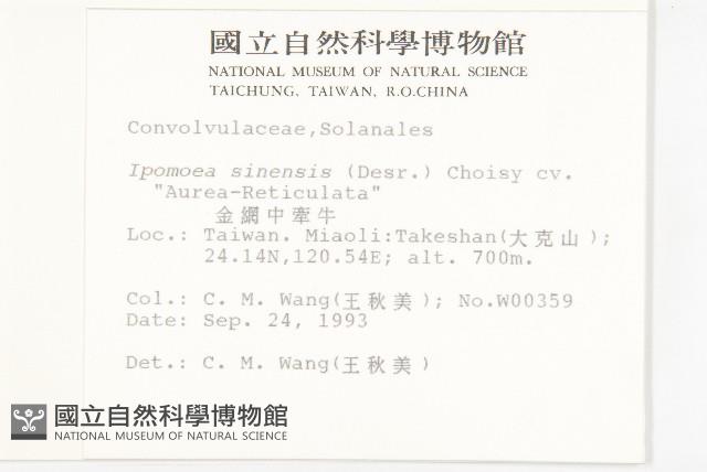 金網中牽牛藏品圖，第2張