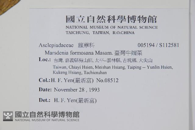 臺灣牛嬭菜藏品圖，第2張