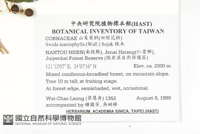 梜木藏品圖，第2張