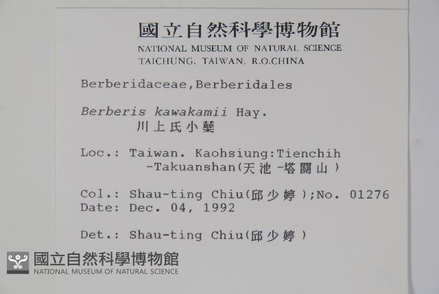 臺灣小蘗藏品圖，第2張