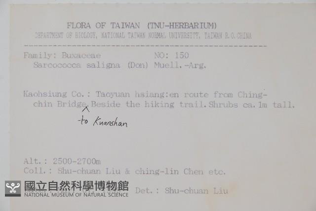 柳狀野扇花藏品圖，第2張