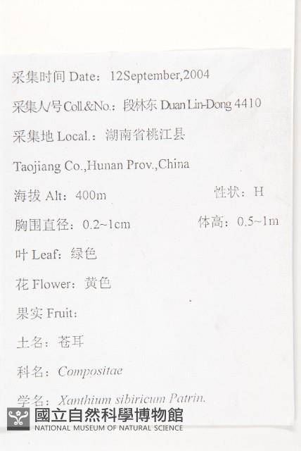 蒼耳藏品圖，第2張