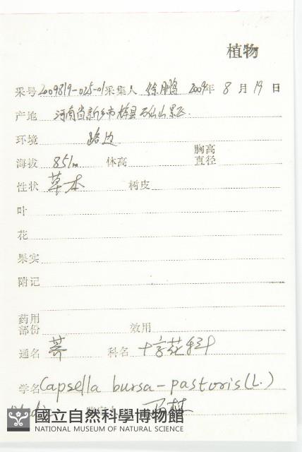 薺藏品圖，第2張