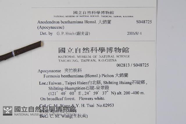 大錦蘭藏品圖，第2張