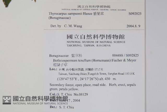 盾果草藏品圖，第2張