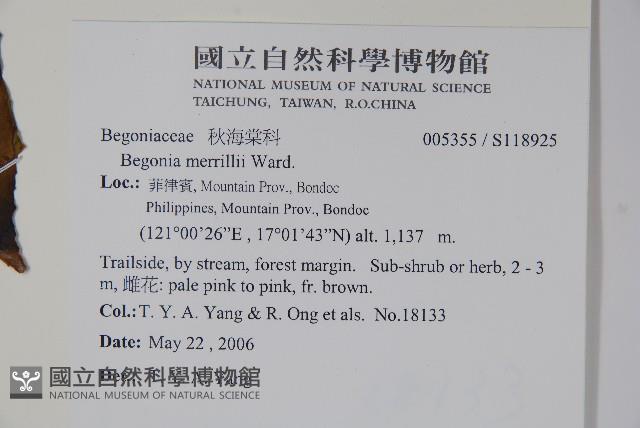 登錄號:S118925藏品圖，第2張