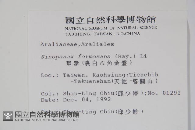 華參、裡白八角金盤藏品圖，第2張