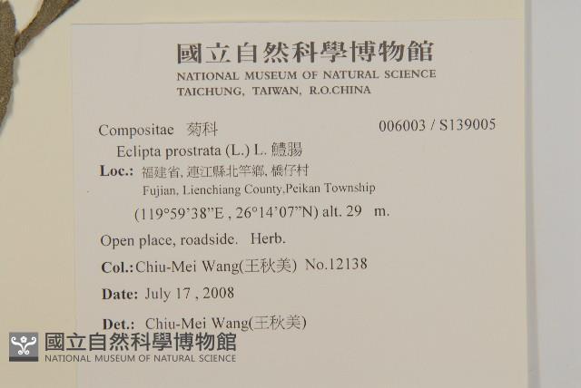 鱧腸藏品圖，第2張