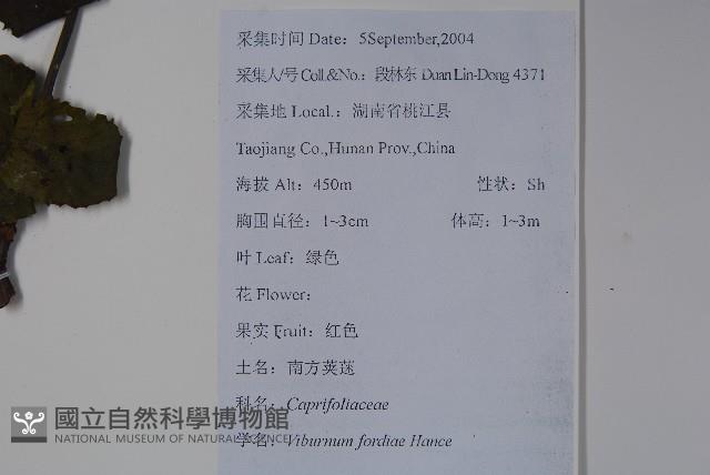 南方莢迷藏品圖，第2張