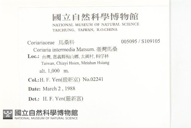 臺灣馬桑藏品圖，第2張