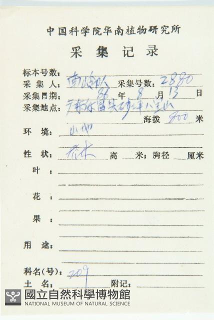 光皮樹藏品圖，第2張