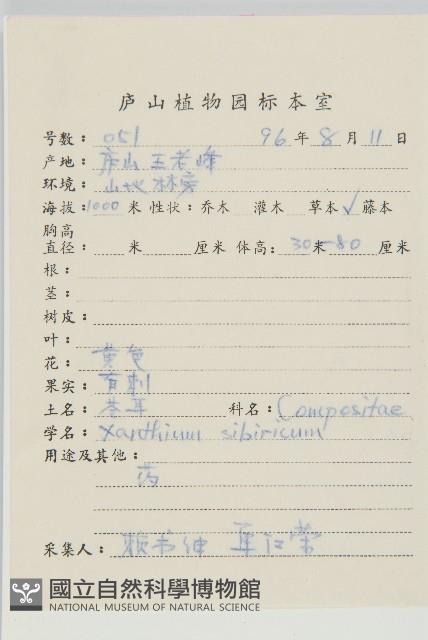 蒼耳藏品圖，第2張