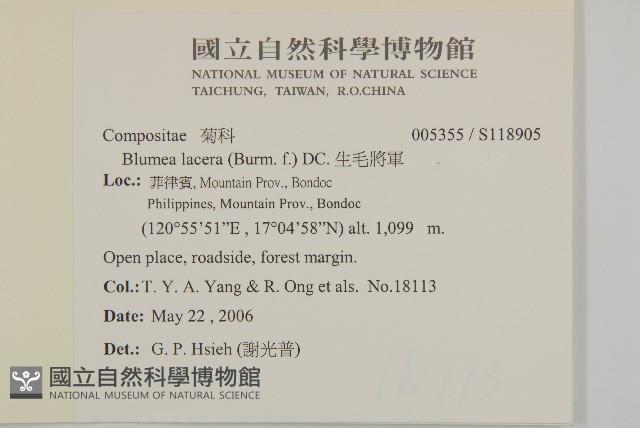 生毛將軍藏品圖，第2張