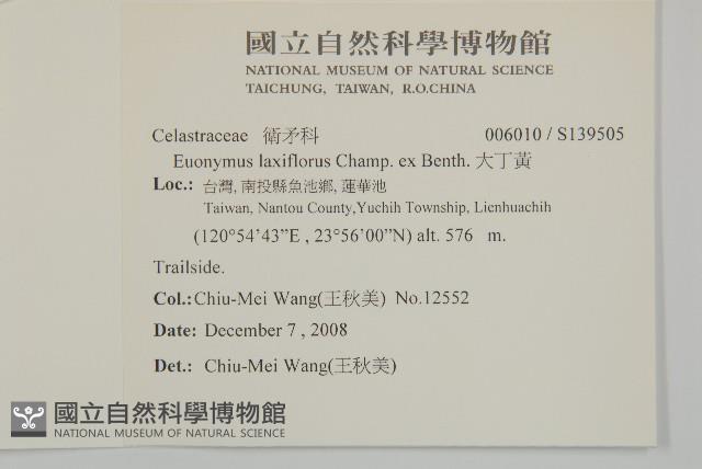 大丁黃藏品圖，第2張