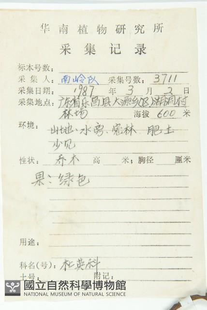 冬桃藏品圖，第2張