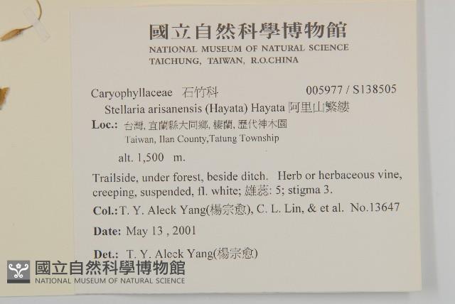 華八仙藏品圖，第2張