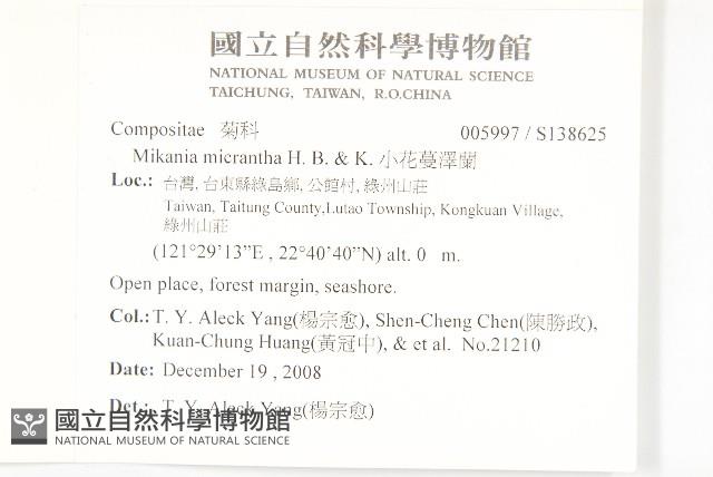 山豬枷藏品圖，第2張