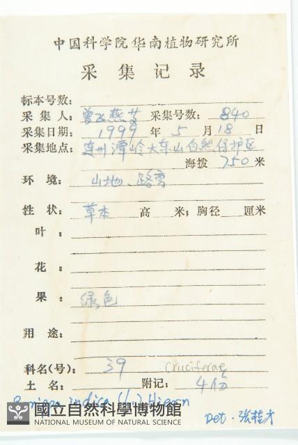 葶藶藏品圖，第2張