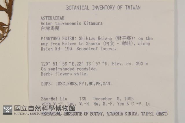 臺灣馬蘭藏品圖，第2張