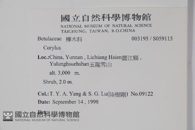 登錄號:S059115藏品圖，第2張