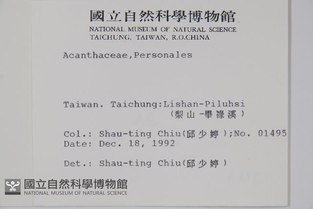 登錄號:S009915藏品圖，第2張