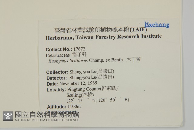 大丁黃藏品圖，第2張