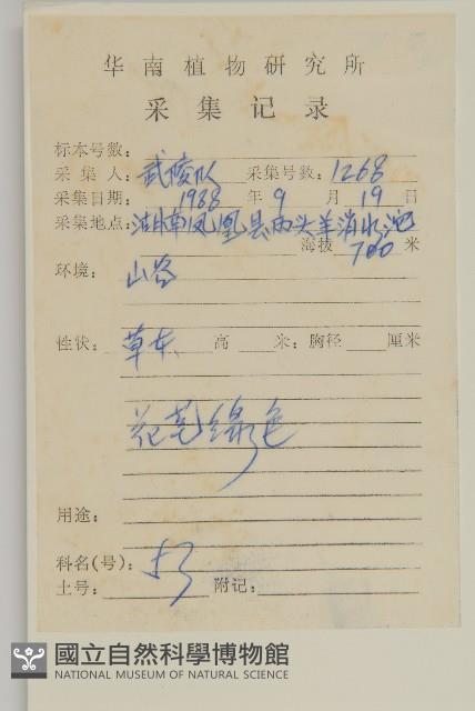 牛繁縷藏品圖，第2張