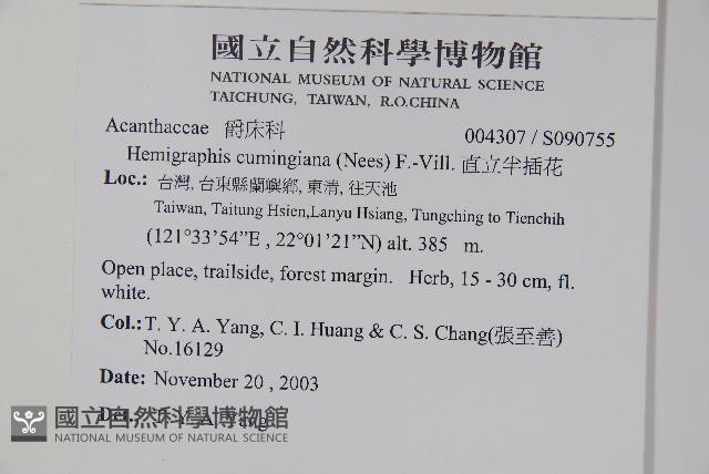 直立半插花藏品圖，第2張