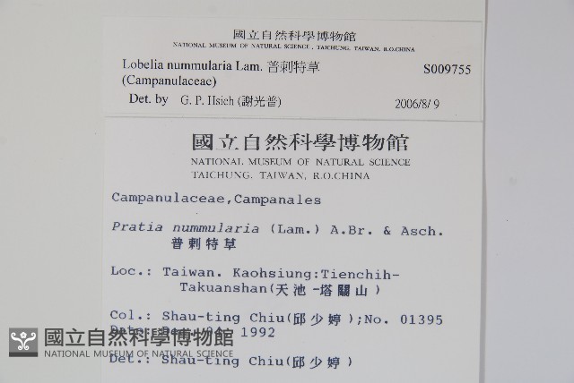 普刺特草藏品圖，第2張