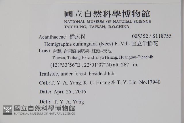 直立半插花藏品圖，第2張