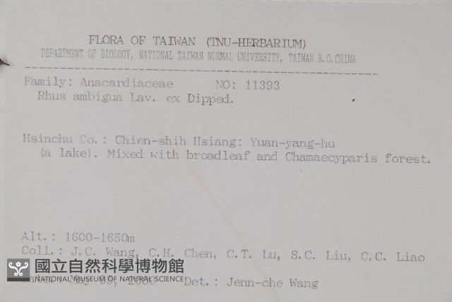 臺灣藤漆藏品圖，第2張