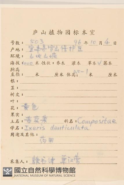 苦實菜藏品圖，第2張