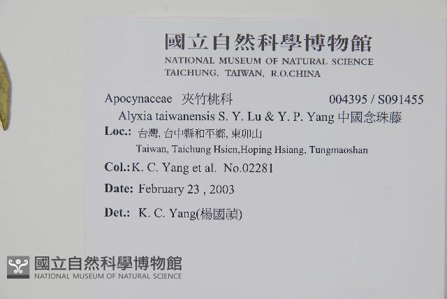 台灣念珠藤藏品圖，第2張