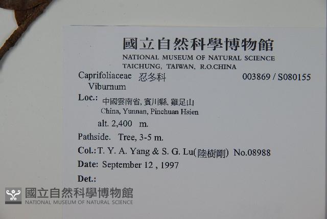 登錄號:S080155藏品圖，第2張