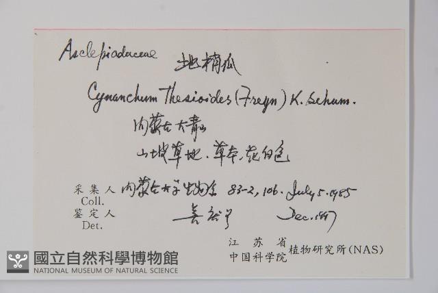 地梢皮藏品圖，第2張