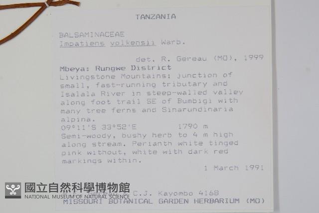 登錄號:S100855藏品圖，第2張