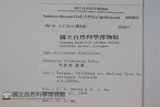 冇骨消藏品圖，第2張