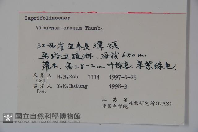 松田氏莢迷、宜昌莢迷藏品圖，第2張