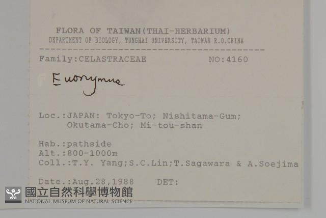 登錄號:S080855藏品圖，第2張