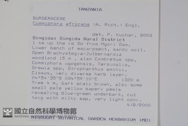 登錄號:S093855藏品圖，第2張
